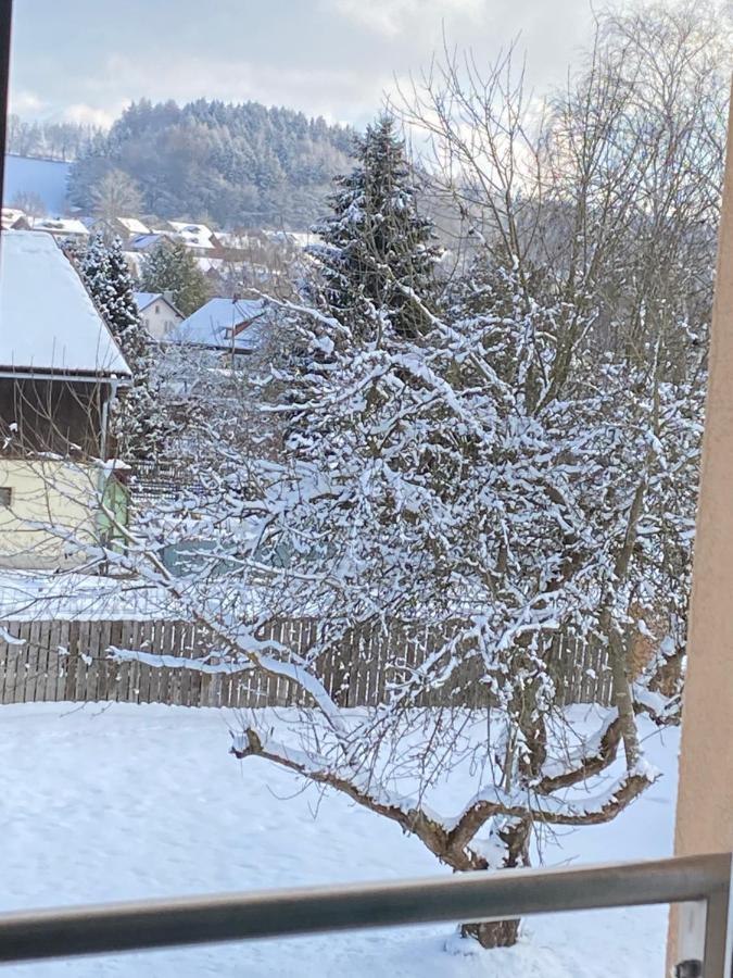 Grosszuegig Und Komfortabel:Ferienwohnung Im Bayerischen Wald! Wiesenfelden Exterior photo